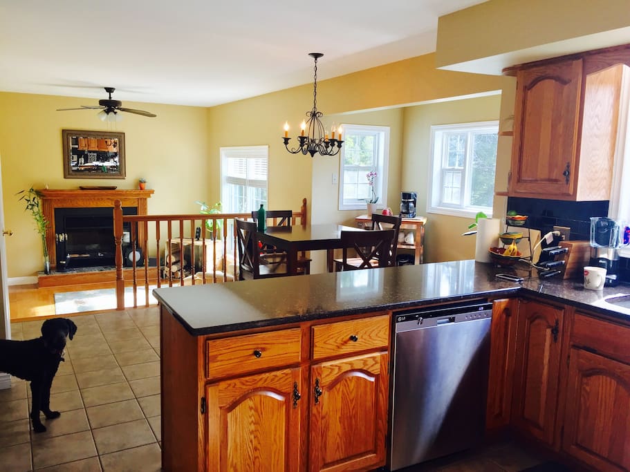 Kitchen and our friendly golden doodle (hypo-allergenic & doesn't shed)
