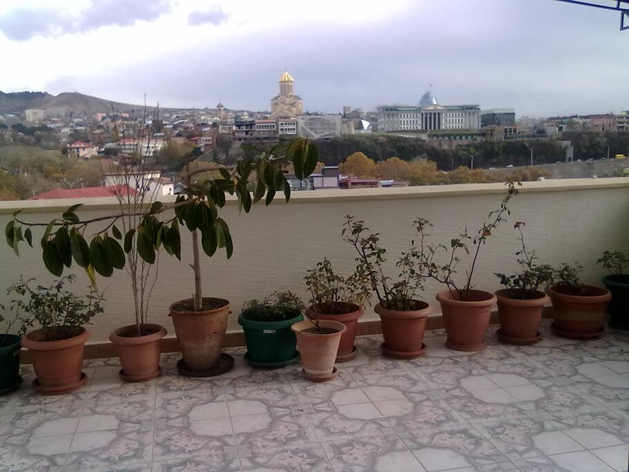 Veranda, with twenty something roses.