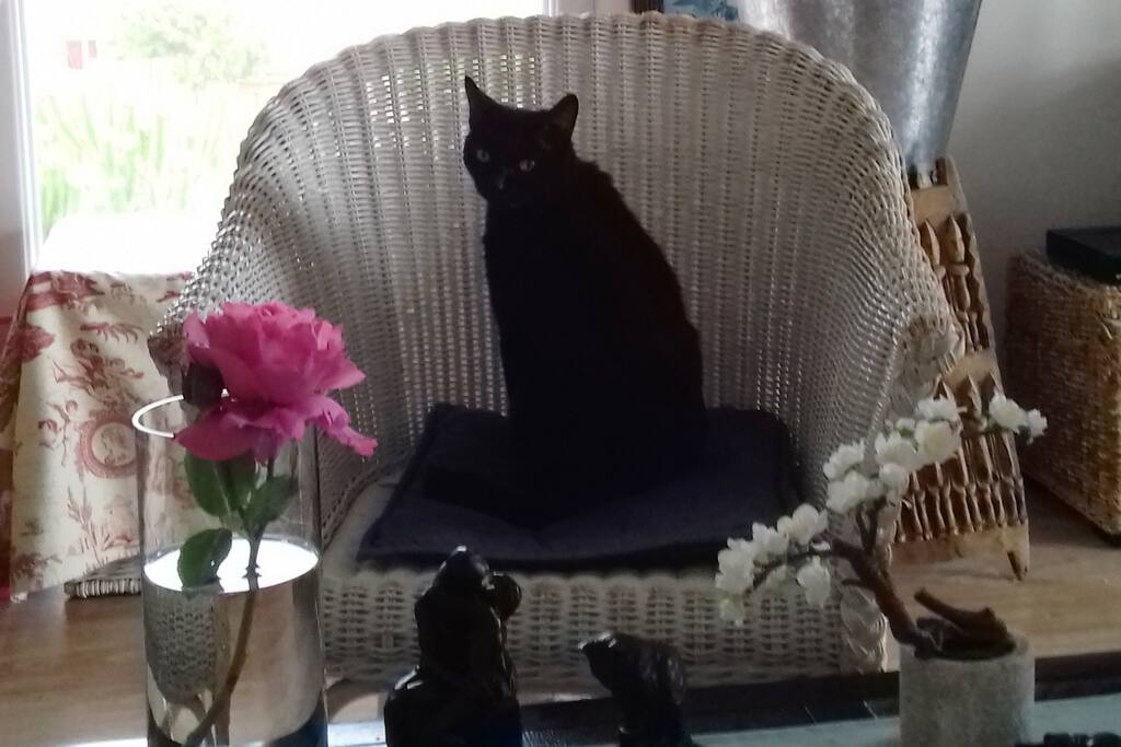 Le salon avec Vénus.