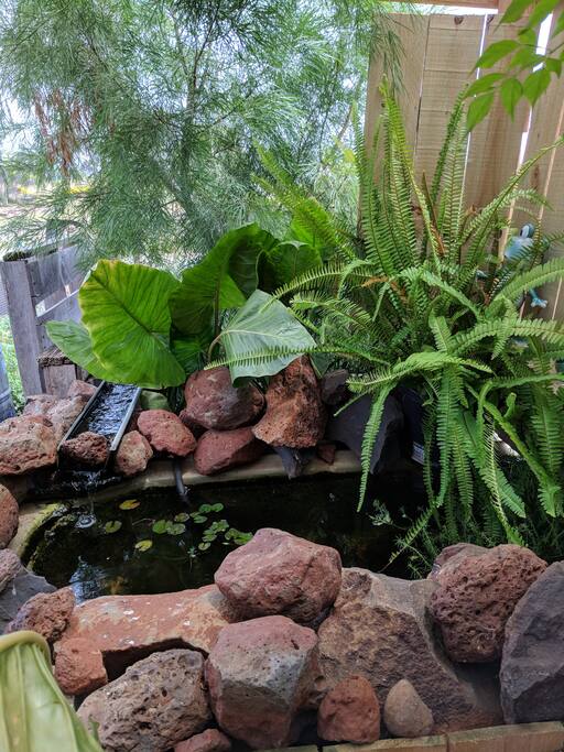Outdoor Area