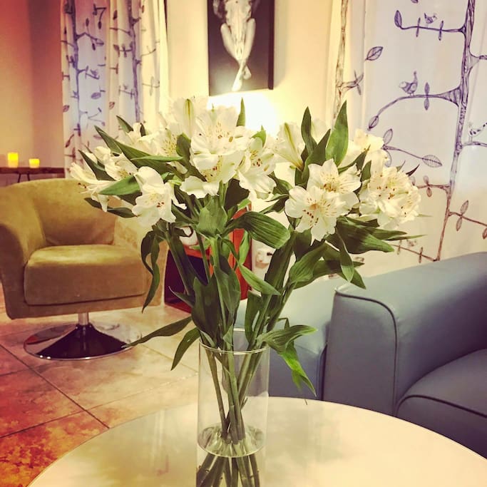 Our cozy living room is perfect for conversation and cocktails with your friends.
