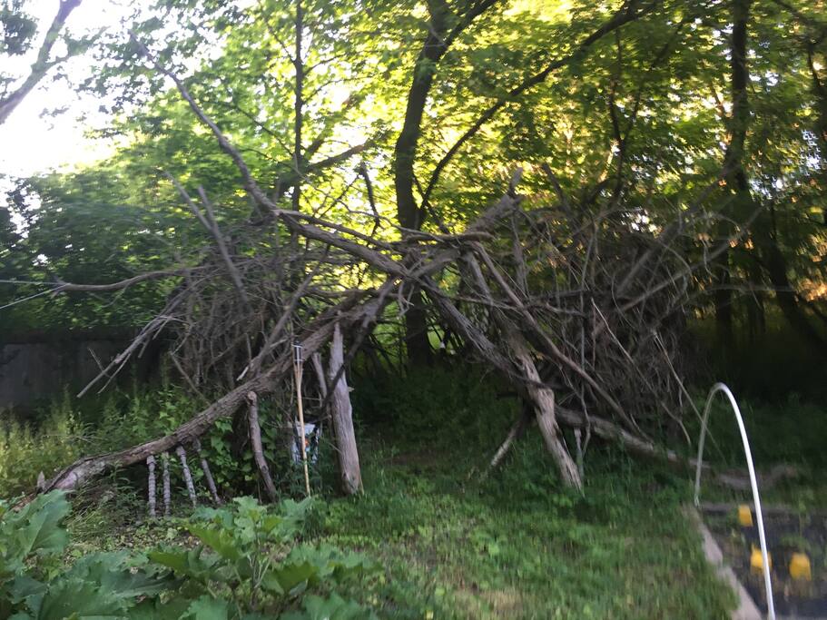 Our Sukkah, or fire circle made out of natural materials