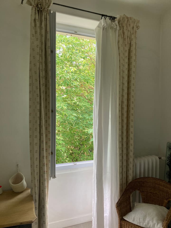 Habitación tranquila con vistas a la vegetación