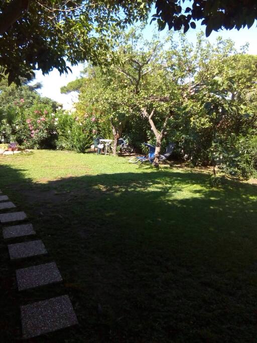 Giardino