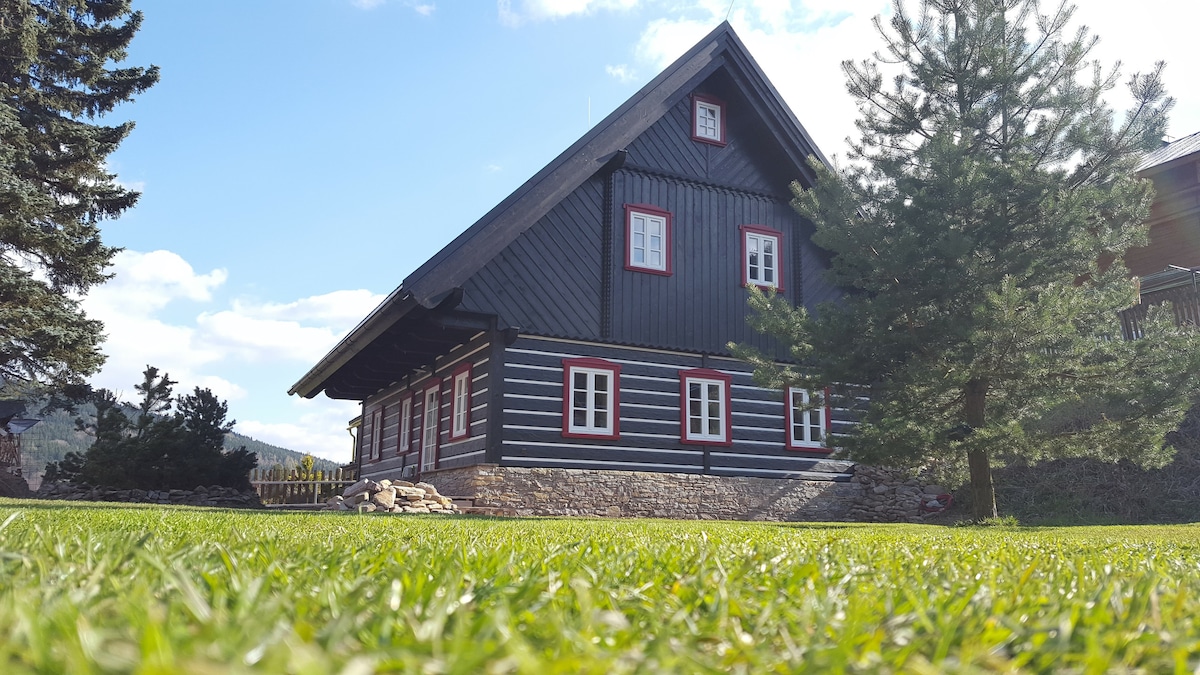 A traditional chalet is depicted with a dark wooden exterior accented by bright red window frames. Two trees are visible in the foreground, and a grassy area surrounds the building, providing a serene setting under a partly cloudy sky.