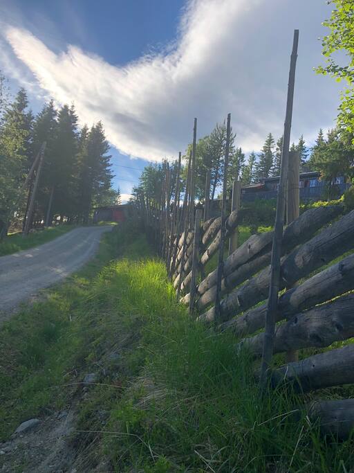 The road to the cabin