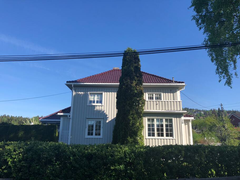 Holmenkollen in the back