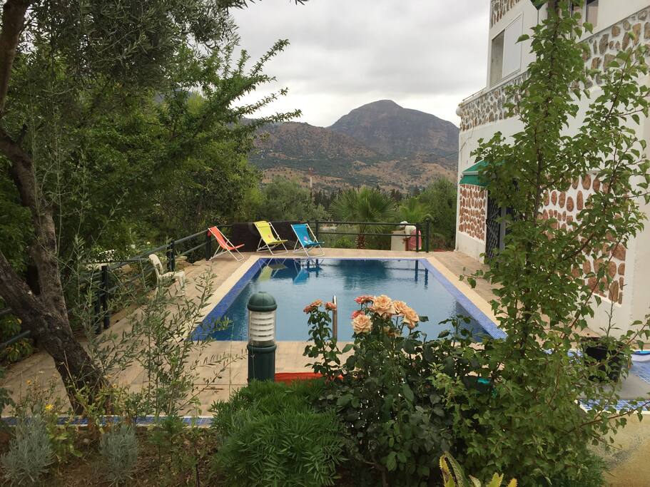 Piscine sans vis avis
