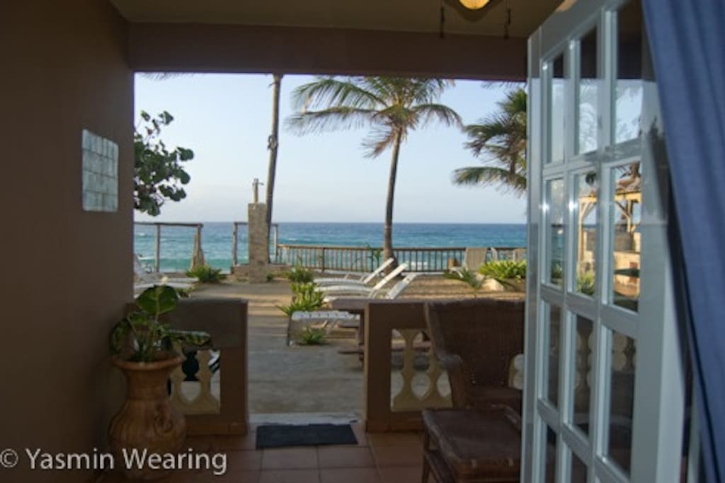Watch the Whales jump from your bed, your balcony or while your cooking lunch