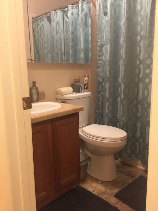 Private bathroom with limited select toiletries