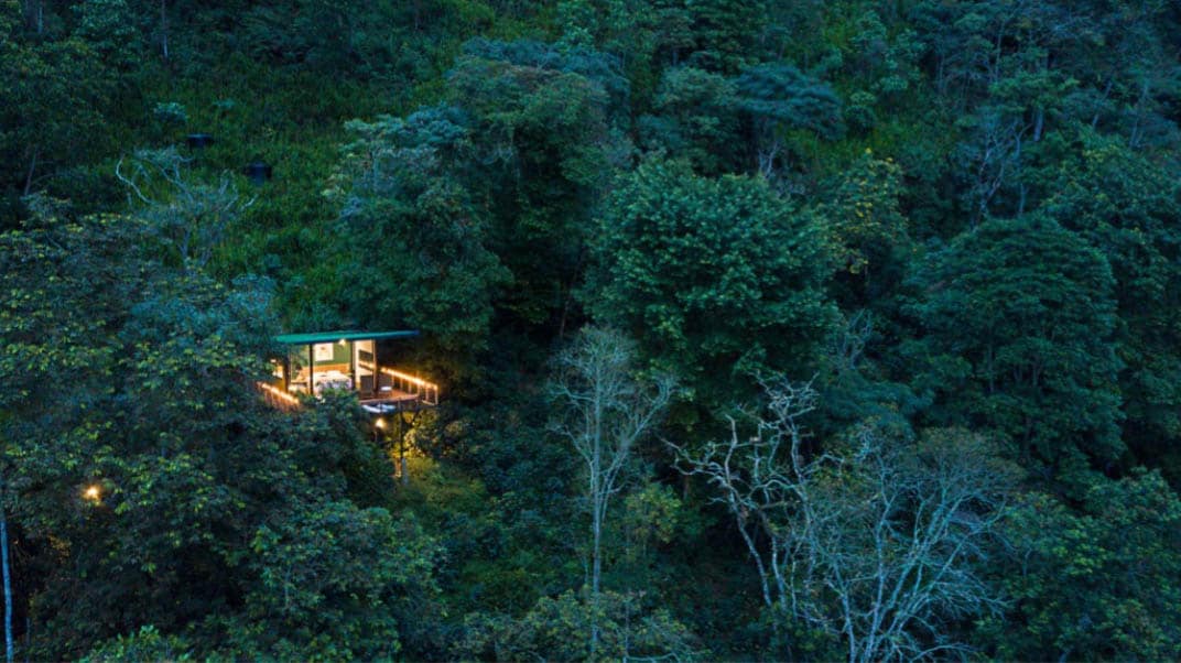 A cabin is nestled within lush greenery, surrounded by dense tree canopies. Soft lighting outlines the deck, providing a subtle contrast against the dark foliage. The tranquil setting emphasizes the cabin's secluded position in the heart of the jungle.