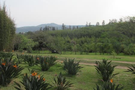 Airbnb Xalapa | top 20 xalapa vacation rentals vacation homes condo Airbnb Xalapa | top 20 xalapa vacation rentals vacation homes condo
