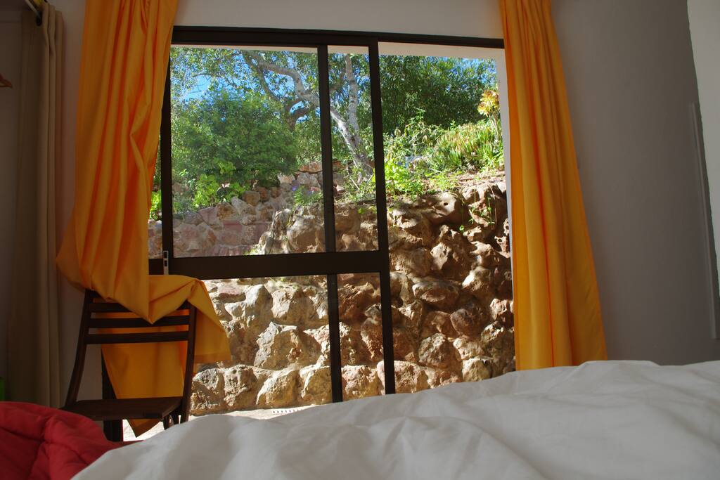 2. View towards the garden