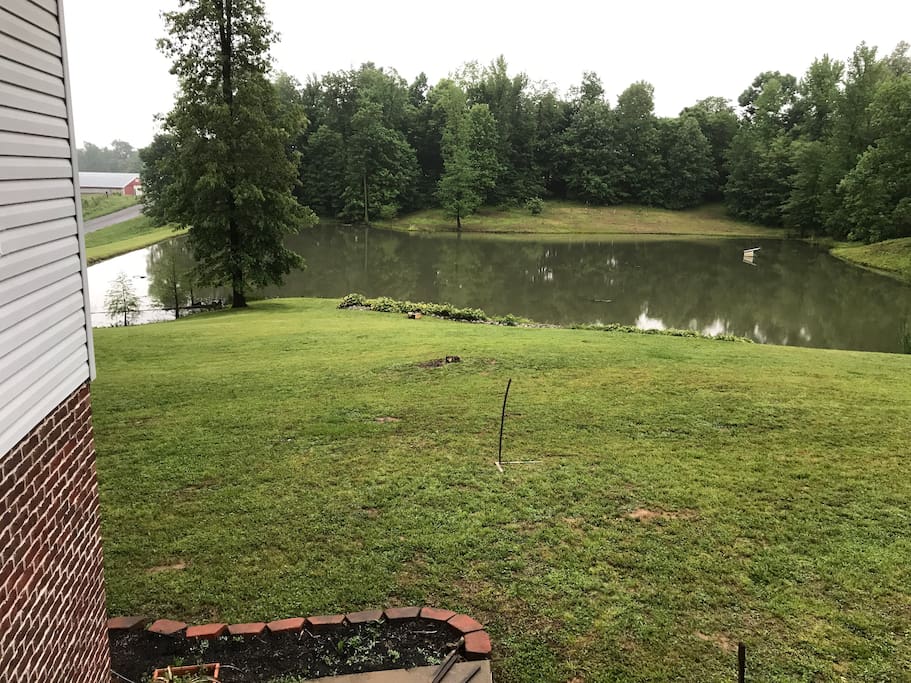 Pond in back yard. Guest may fish in it.