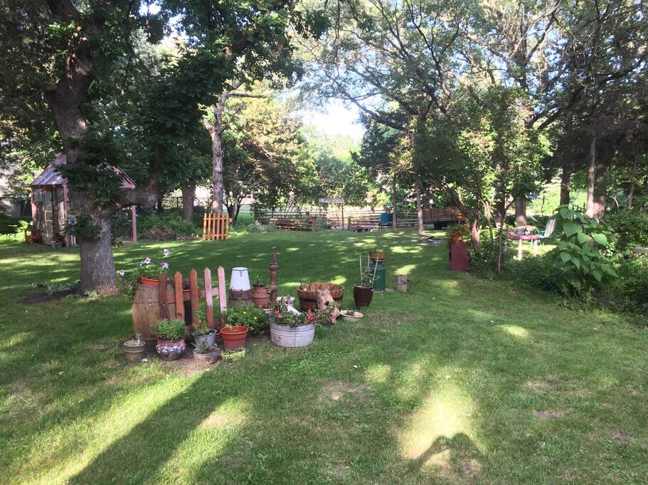 View of backyard from guest bedroom.