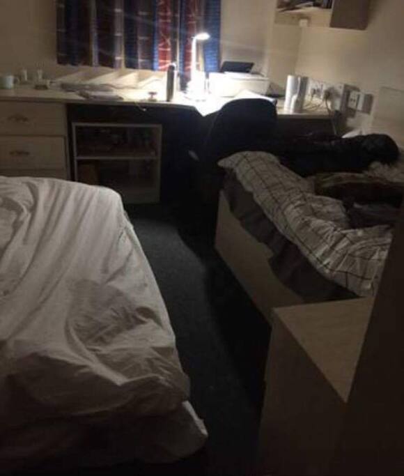 shared bed