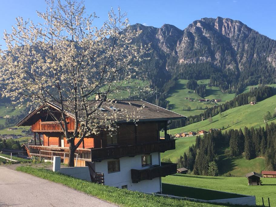 Außenansicht
