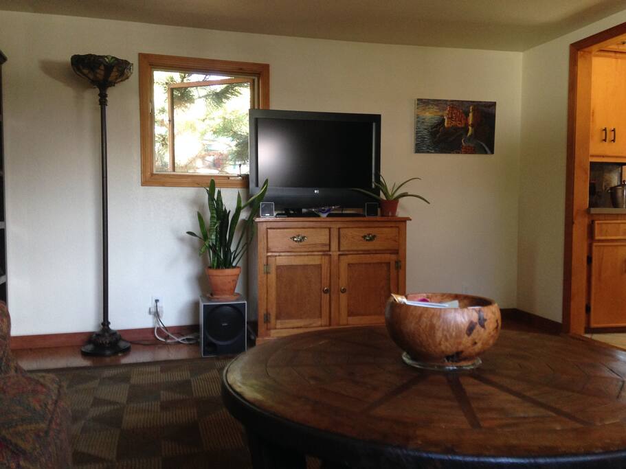 Living room, TV, Netflix and movies.