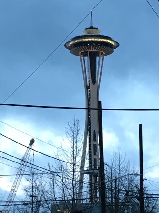 View of Space Needle standing on front porch