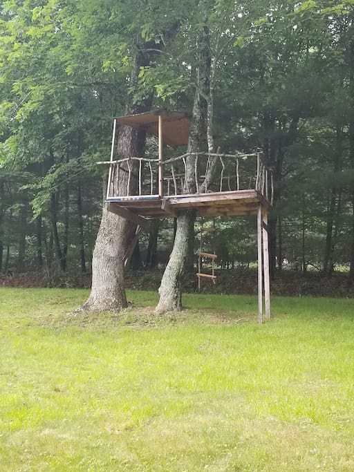 Tree House