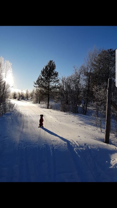 Fine uteområder med flere mil preparerte ski løyper.