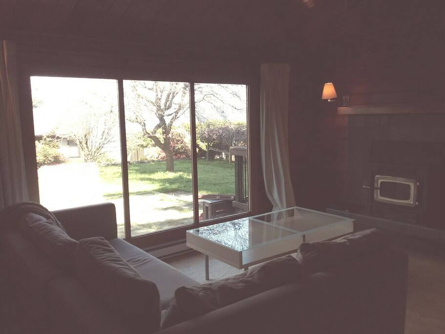 Living room with pullout couch