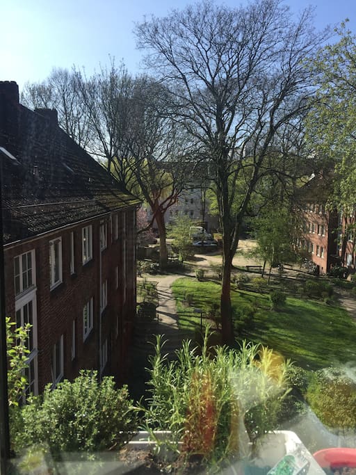 Blick aus dem Fenster I View from the window