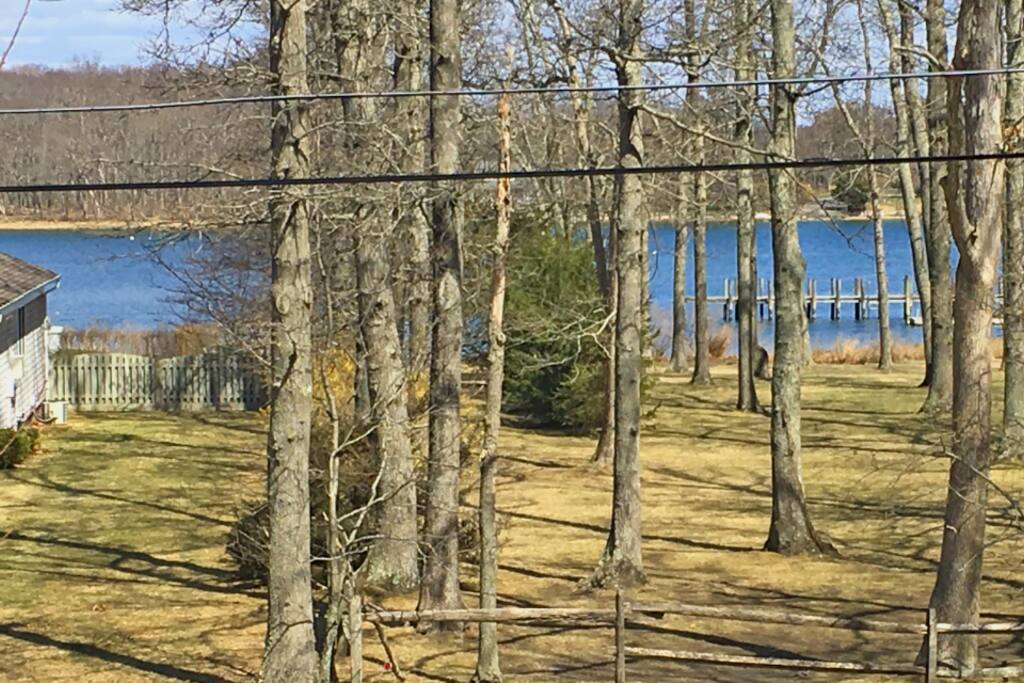 Woods and water view