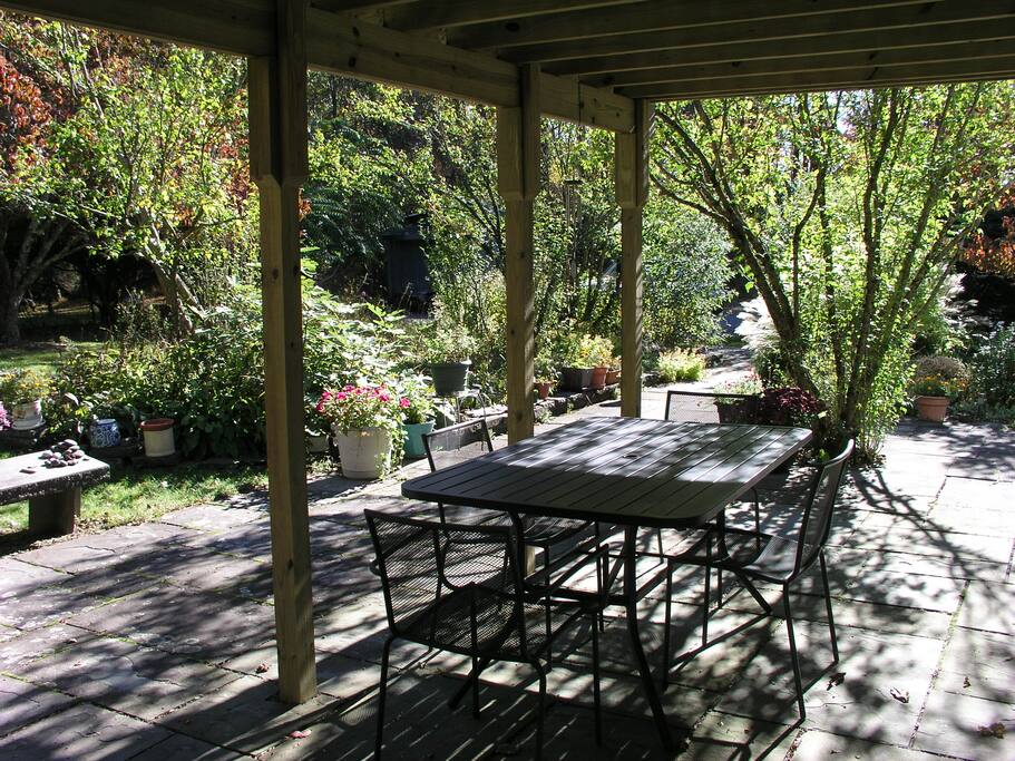 Dappled sunlight and hummingbirds in the backyard garden