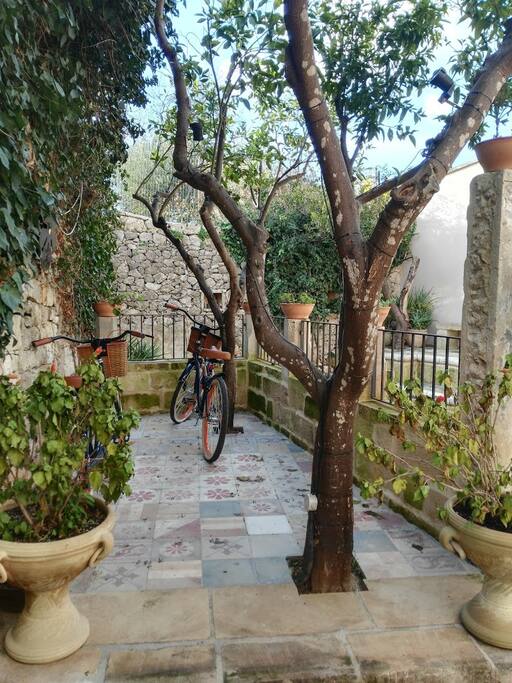 giardino comune