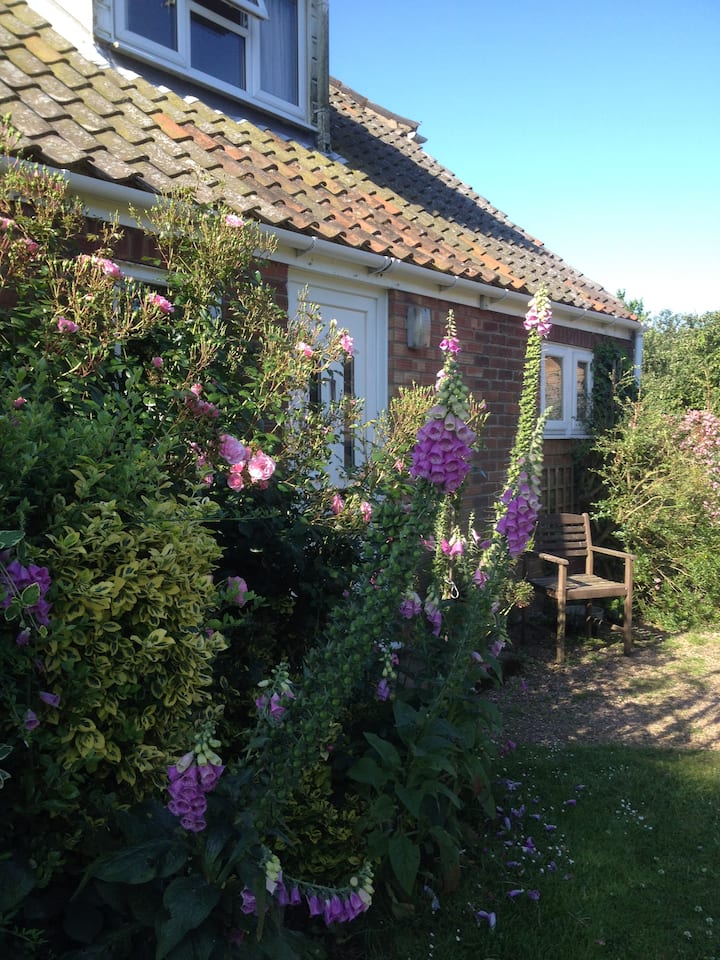 Room In Private House Rural Setting Houses for Rent in East Somerton
