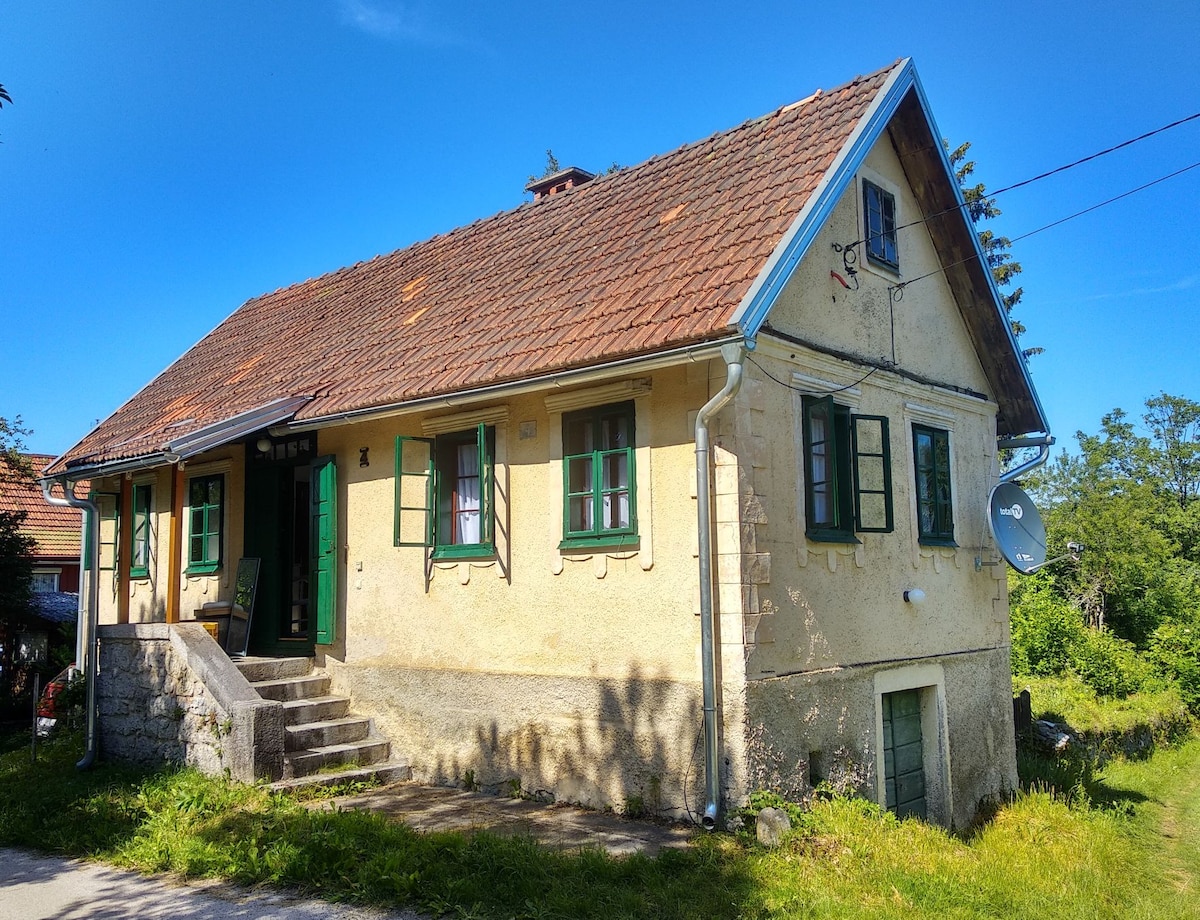The exterior of a charming, two-story house is visible, featuring a sloped roof and green window shutters. Stone steps lead to a shaded porch area, flanked by lush greenery and a clear blue sky. A satellite dish is mounted on one side of the building.