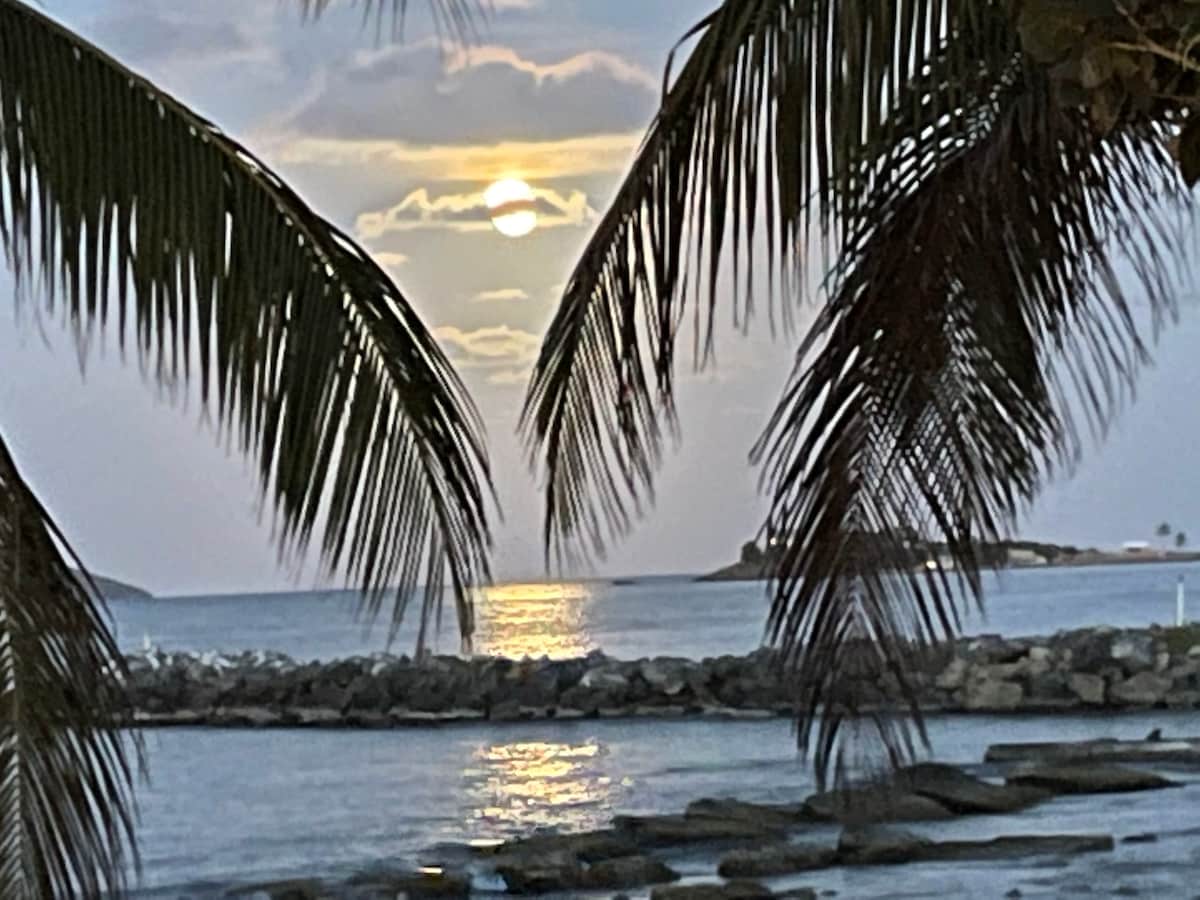 The image captures a serene ocean view framed by palm leaves, with the sun setting on the horizon. The warm light reflects off the water, creating a golden pathway across the surface, while the rocky shorelines are visible in the foreground.