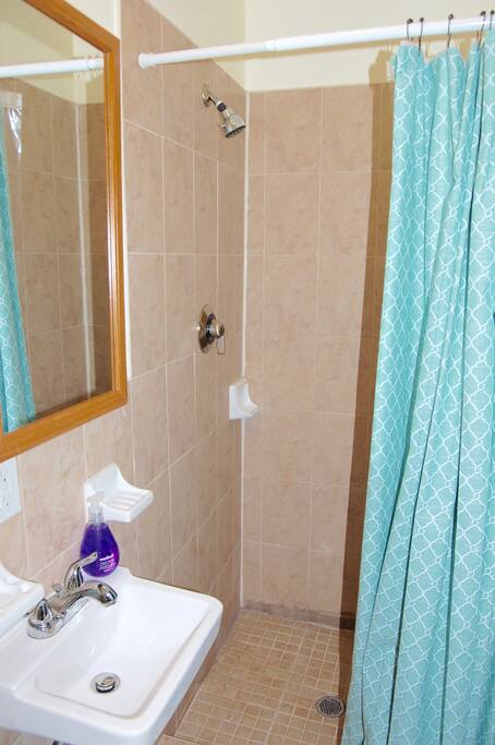 The Second Bathroom