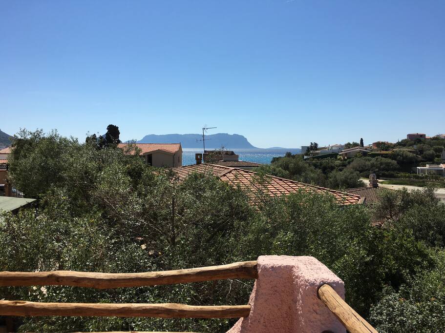 Vista