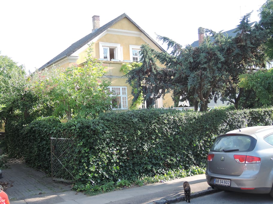 The yellow house