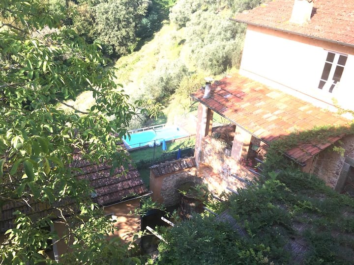 从1号卧室窗户欣赏美景