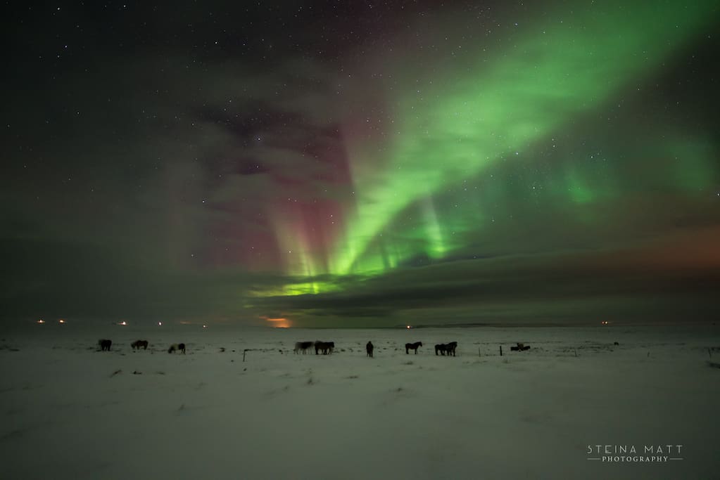 Northen Lights in the neigbourhood