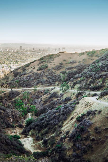 Photo of Runyon Canyon Park