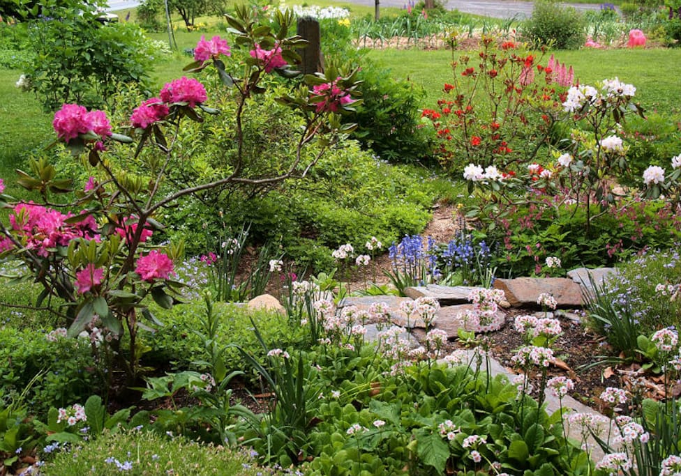 Terraced garden beside house in spring