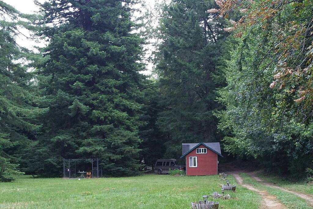 The cabin from across the meadow