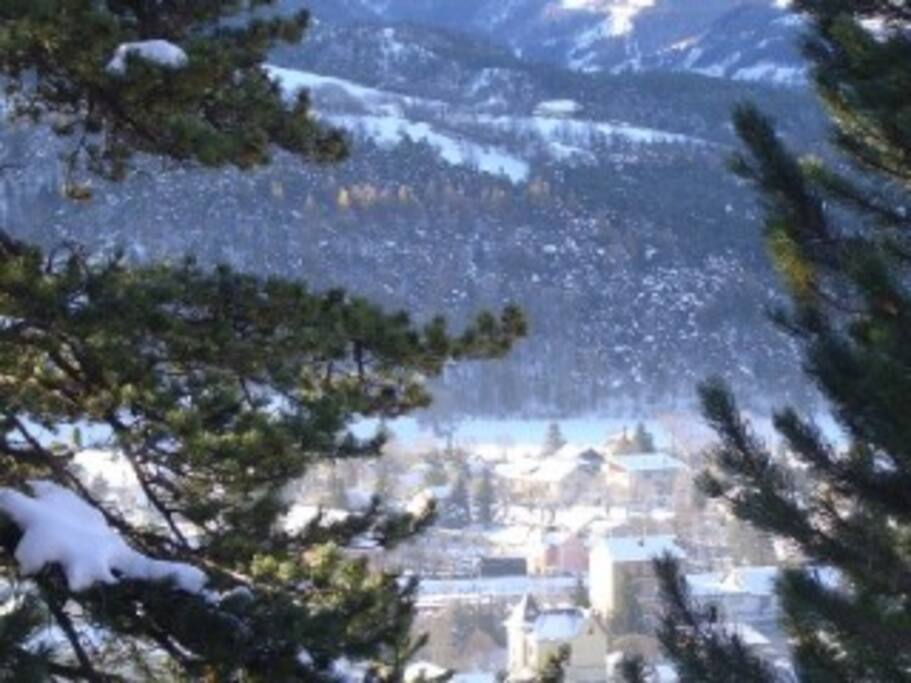 vue Barcelonnette en bas