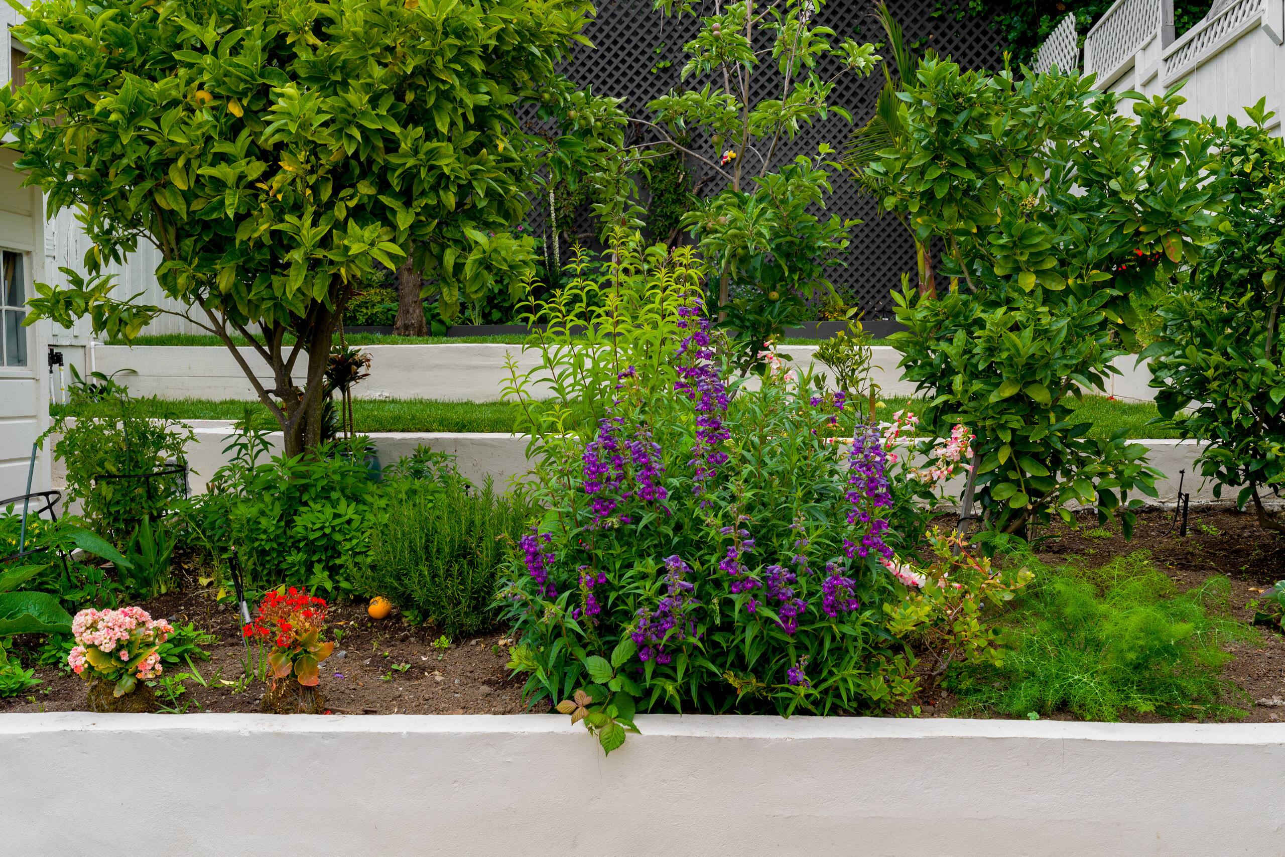 Home in San Francisco · ★4.91 · 3 bedrooms · 3 beds · 2 baths - Image 22
