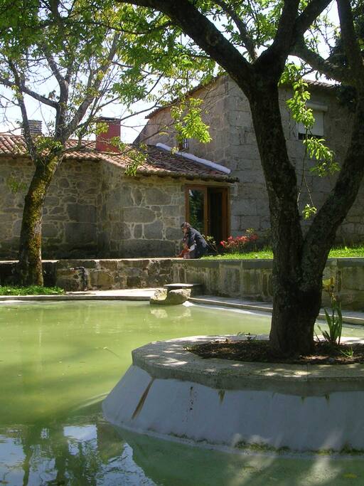 Lake