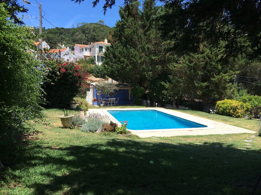 View of the Garden and Pool