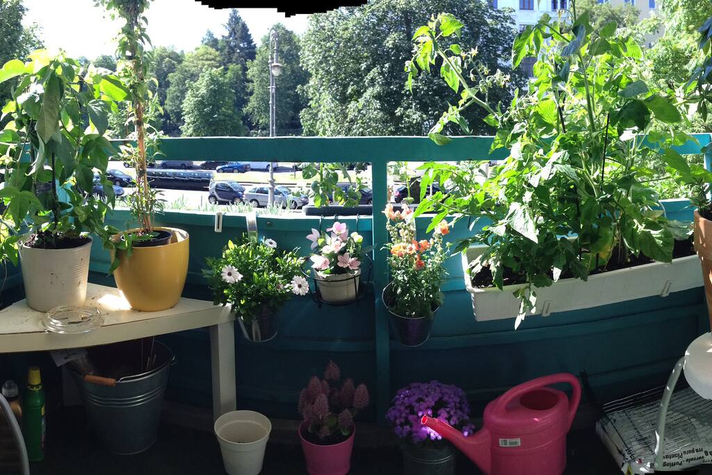 Mein Blumiger Balkon