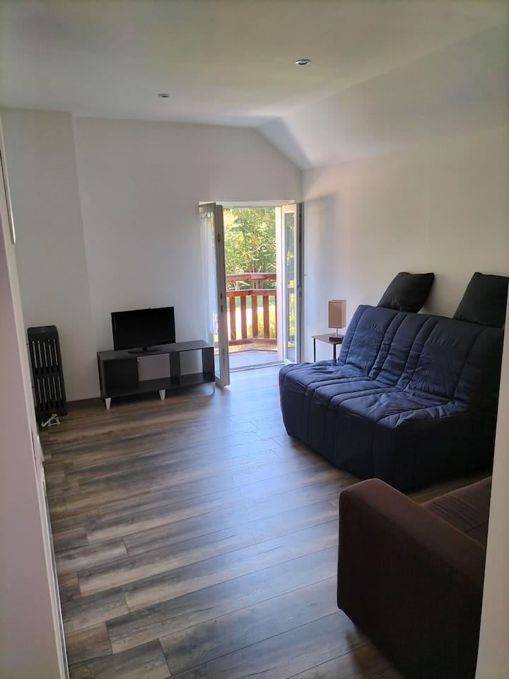 Appartement Pour 4prs Dans Maison Individuelle - Allemont