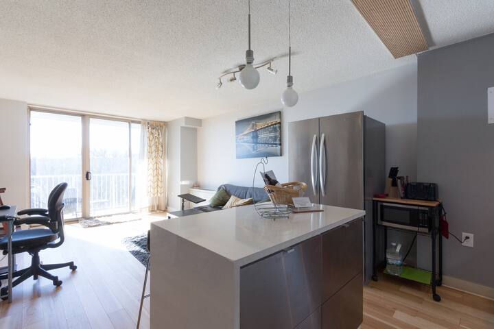 *Gorgeous Condo* with View* Minutes Away From DC*