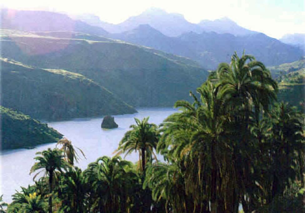 Presa de Gran Canaria