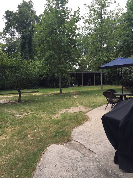 Large Backyard